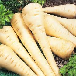 Fruit & Veg Specials - Parsnip
